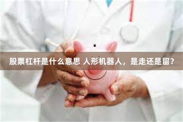 股票杠杆是什么意思 人形机器人，是走还是留？