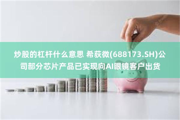 炒股的杠杆什么意思 希荻微(688173.SH)公司部分芯片产品已实现向AI眼镜客户出货