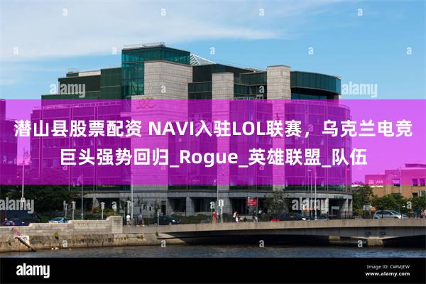 潜山县股票配资 NAVI入驻LOL联赛，乌克兰电竞巨头强势回归_Rogue_英雄联盟_队伍