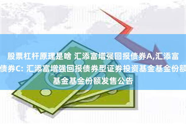 股票杠杆原理是啥 汇添富增强回报债券A,汇添富增强回报债券C: 汇添富增强回报债券型证券投资基金基金份额发售公告