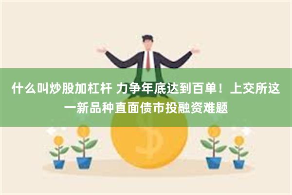 什么叫炒股加杠杆 力争年底达到百单！上交所这一新品种直面债市投融资难题