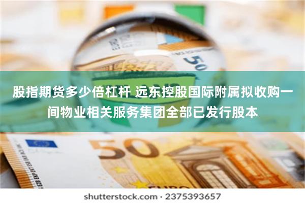 股指期货多少倍杠杆 远东控股国际附属拟收购一间物业相关服务集团全部已发行股本