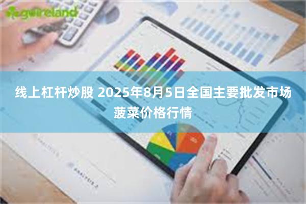 线上杠杆炒股 2025年8月5日全国主要批发市场菠菜价格行情