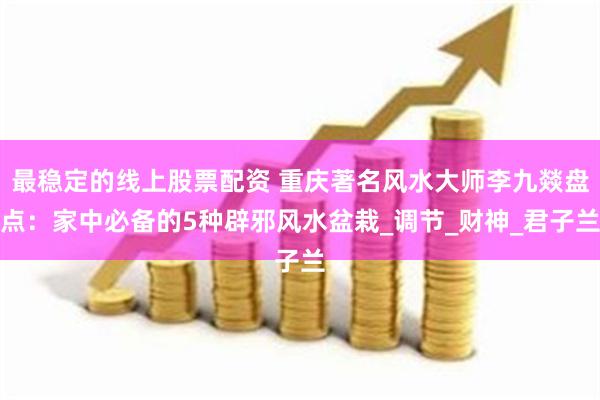 最稳定的线上股票配资 重庆著名风水大师李九燚盘点：家中必备的5种辟邪风水盆栽_调节_财神_君子兰